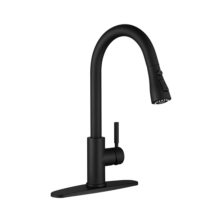 Black Kitchen Tap